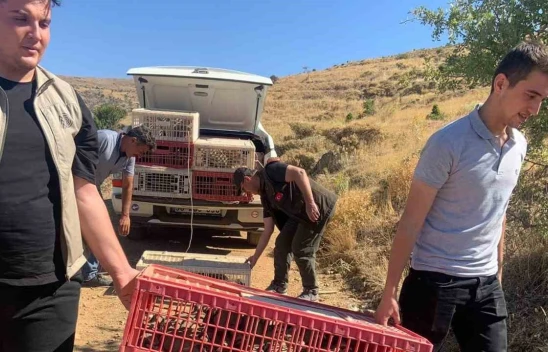 Baskil ve Sivrice'de doğaya keklik salımı gerçekleştirildi, alan 3 yıl boyunca ava kapatıldı