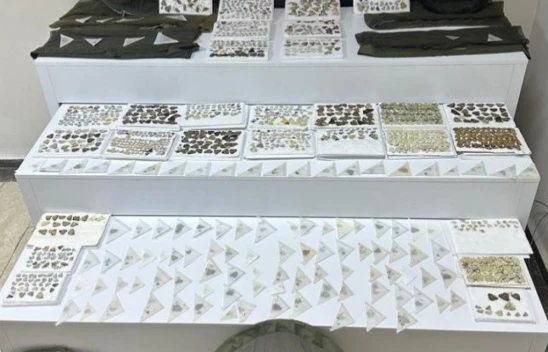 Elazığ'da endemik olduğu değerlendirilen bin 472 adet kelebek ele geçirildi