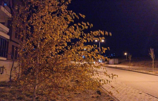 Elazığ'da etkili olan fırtına vatandaşlara zor anlar yaşattı