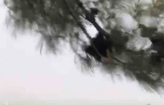 Elazığ'da fırtına etkili oldu