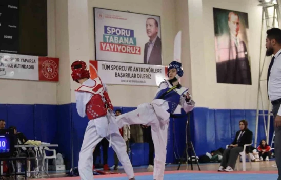 Elazığ'da gençler taekwondo müsabakaları yapıldı