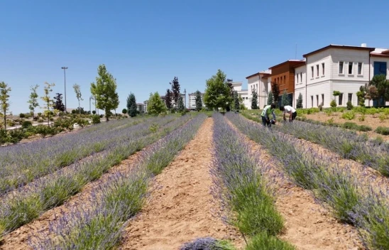 Bu Gençlere Bir Maşallahınızı Alırız !