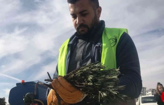 Elazığ'da İpek Yolu Gençlik Merkezi gönüllülerinden lavanta parkı