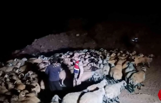 Elazığ'da jandarma kaybolan hayvanları dron ile buldu