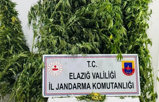 Elazığ'da Jandarmadan Uyuşturucu Operasyonu