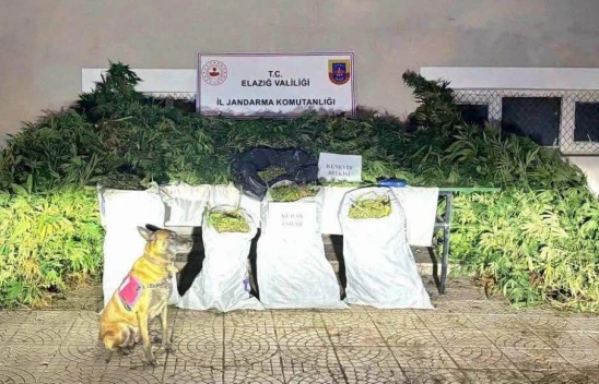 Elazığ'da Jandarmadan Uyuşturucu ve Silah Operasyonu: 2 Tutuklama