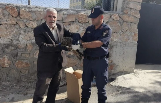 Elazığ'da jandarmanın bulduğu 2 yaralı baykuş koruma altına alındı
