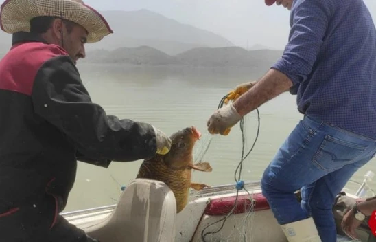 Elazığ'da Kaçak Avcılara Operasyon