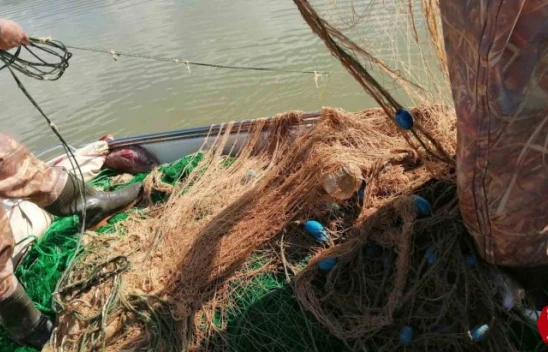 Elazığ'da kaçak avlandığı tespit edilen 100 kilo canlı balık ele geçirildi