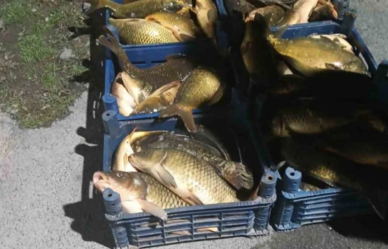 Elazığ'da Kaçak Avlanan 210 Kilogram Balığa El Konuldu