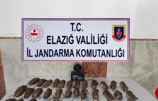 Elazığ'da Jandarmadan Kaçak Bıldırcın Avına 8 Bin 220 Lira Ceza