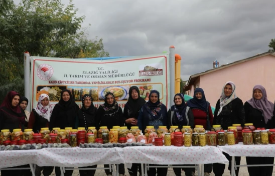 Elazığ'da Kadın Çiftçiler 'Lezzetli Turşular, Mutlu Sofralar' Projesiyle Üretime Katkı Sağladı