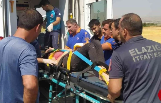 Elazığ'da Kamyonet Şarampole Yuvarlandı, 3 Yaralı