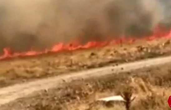 Karakoçan'da Korkutan Yangın, 10 Dönüm Alan Zarar Gördü