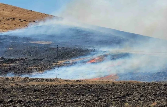 Karakoçan'da korkutan yangın