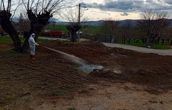Elazığ'da Sivrisinek ve Haşereyle Mücadele Aralıksız Devam Ediyor