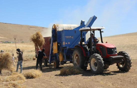 Elazığ'da Mercimek Hasadı Başladı: TAKE Projesiyle 2.574 Ton Rekolte Bekleniyor