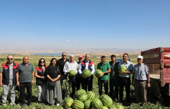Elazığ'da Muratçık Köyü'nde Karpuz Hasadı Gerçekleştirildi