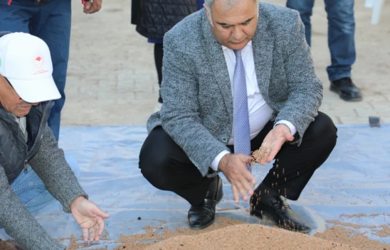 Elazığ'da Organik Mercimek Üretiminde Artış: Yeni Proje Verimi Yüzde 60 Artırdı