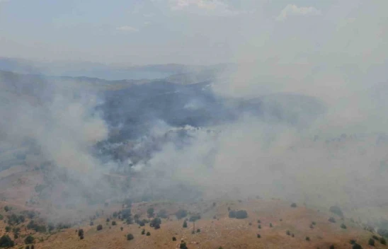 Elazığ'da orman yangını: Ekiplerin havadan ve karadan müdahalesi sürüyor