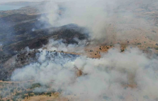 Elazığ'da orman yangınına havadan müdahale sürüyor