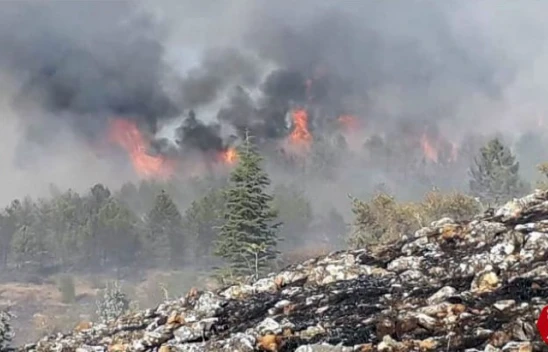 Keban'da Orman Yangınına Müdahale Sürüyor