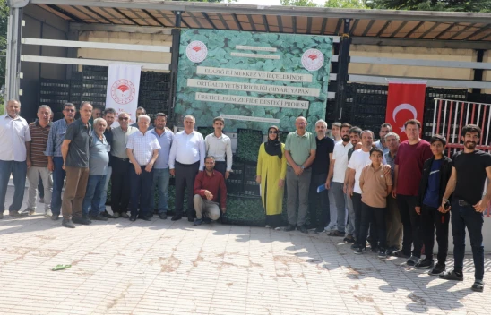Elazığ'da Örtü Altı Üretime 101 Bin Hıyar Fidesi Desteği