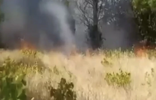 Nuralı Köyünde örtü ve bahçe yangını