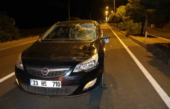 Elazığ'da otomobilin çarptığı kadın kurtarılamadı