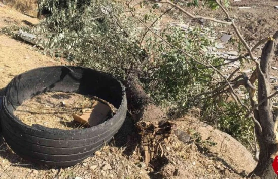 Elazığ'da Pikap Şarampole Yuvarlandı, 5 Yaralı