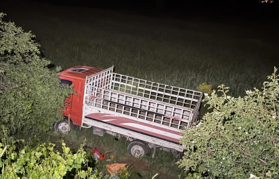 Elazığ'da Şarampole Devrilen Kamyonetteki 4 Kişi Yaralandı