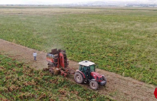 Elazığ'da Şeker Pancarı Mesaisine Başlayan Çiftçiler Fiyattan Memnun