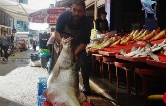 Elazığ'da Sezonun İlk Dev Turna Balığı Yakalandı