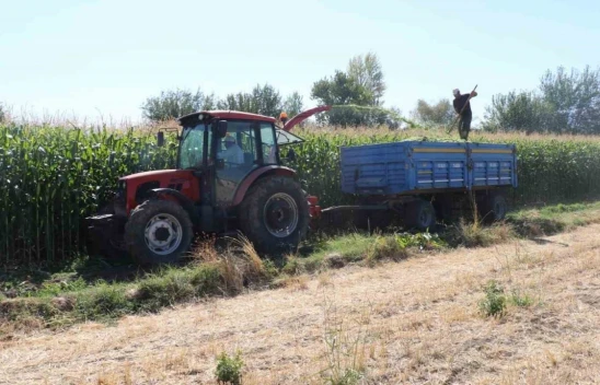 Elazığ'da silajlık mısır hasat etkinliği düzenlendi