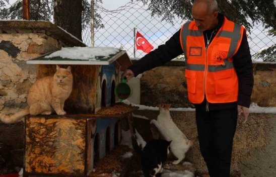 Elazığ Belediyesi'nden Sokak ve Yaban Hayvanlarına Kış Desteği