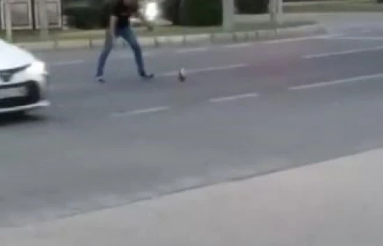 Elazığ'da tavuk yola çıktı, sürücüler neye uğradığını şaşırdı