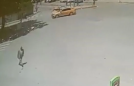 Elazığ'da trafik kazası: 2 yaralı