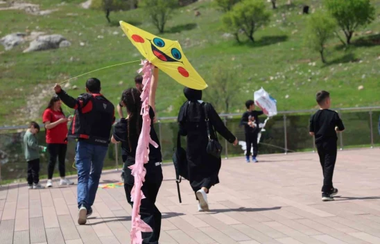 Elazığ'da uçurtma şenliğinde renkli görüntüler oluştu