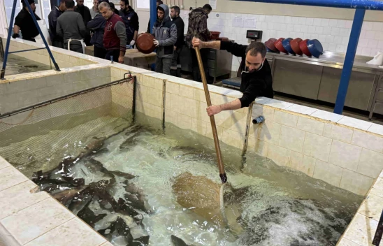 Elazığ'da Üretilecek 2 Milyon Yavru Alabalık Ekonomiye Kazandırılacak