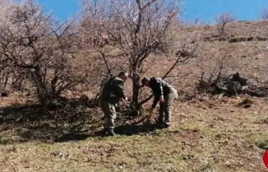 Elazığ'da Yaban Hayatı Ve Kaçak Avcılar, Fotokapanlarla Tespit Ediliyor