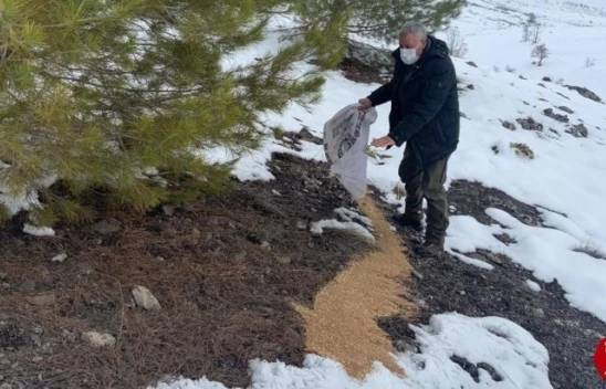 Elazığ'da yaban hayvanları için doğaya yem bırakıldı