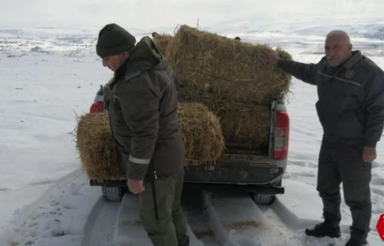 Elazığ'da yaban hayvanları için doğaya yem bırakıldı