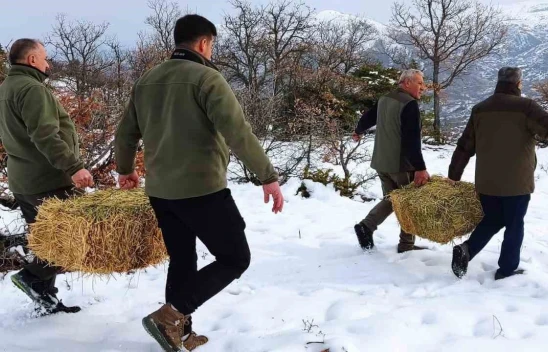 Elazığ'da Yaban Hayvanları İçin 850 Kilo Yem Bırakıldı