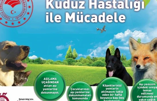 Elazığ'da Yaban Hayvanlarına Havadan Kuduz Aşısı Uygulaması Başlıyor