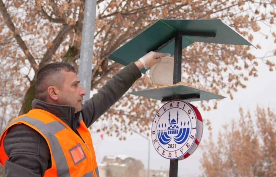 Elazığ Belediyesi'nden Can Dostlara Destek: Sokak ve Yaban Hayvanlarına Mama Dağıtımı Sürüyor