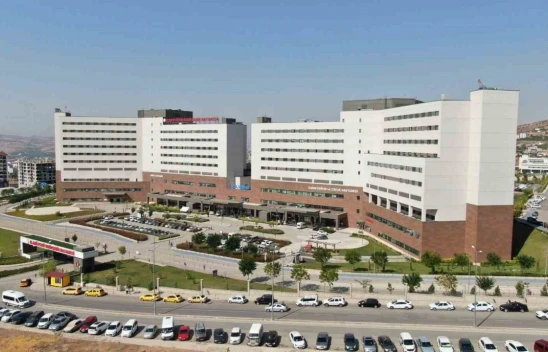 Muratçık Köyünde yılanın soktuğu genç hastaneye kaldırıldı