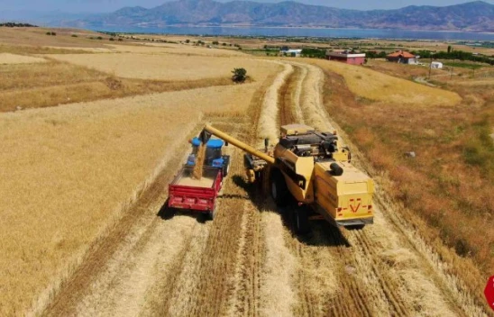 Elazığ'da Yılın İlk Arpa Hasadı Gerçekleştirildi