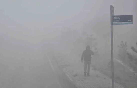 Elazığ'da yoğun sis etkili oldu, bir mahalle adeta kayboldu