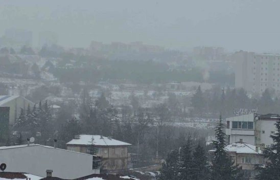 Elazığ'da Kar Yağışının Ardından Sis Etkili Oldu