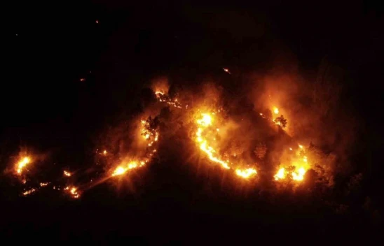 Sivrice'de ki orman yangını kontrol altına alındı